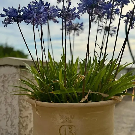 Maison Barban Villa Arpaillargues-et-Aureillac